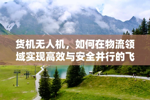 货机无人机，如何在物流领域实现高效与安全并行的飞跃？