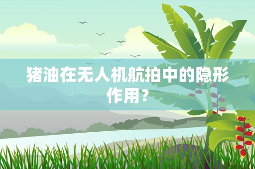 猪油在无人机航拍中的隐形作用？