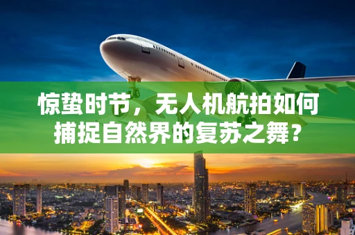 惊蛰时节，无人机航拍如何捕捉自然界的复苏之舞？
