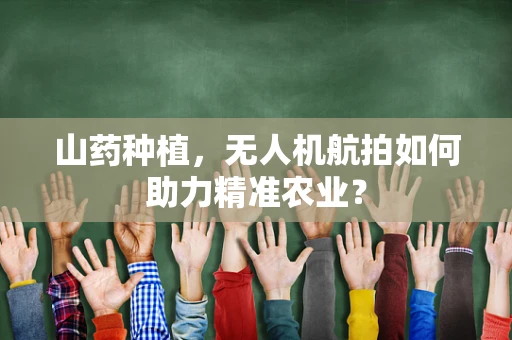 山药种植，无人机航拍如何助力精准农业？