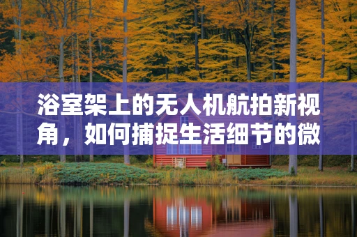 浴室架上的无人机航拍新视角，如何捕捉生活细节的微妙平衡？