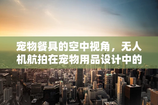 宠物餐具的空中视角，无人机航拍在宠物用品设计中的应用与挑战？
