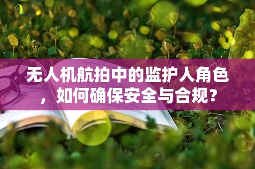 无人机航拍中的监护人角色，如何确保安全与合规？