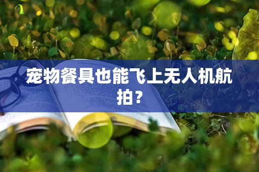 宠物餐具也能飞上无人机航拍？