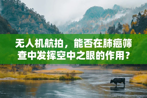 无人机航拍，能否在肺癌筛查中发挥空中之眼的作用？