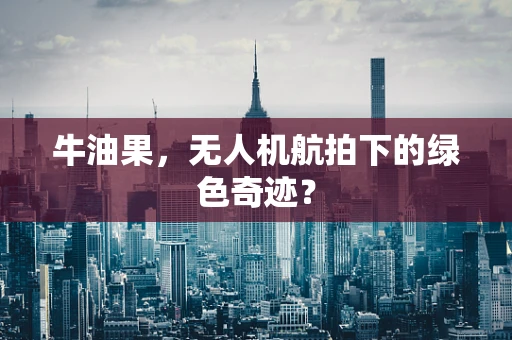牛油果，无人机航拍下的绿色奇迹？