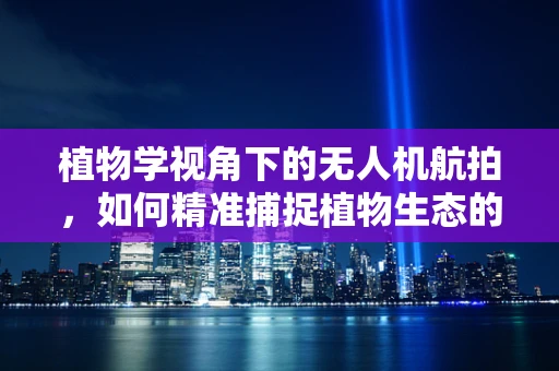 植物学视角下的无人机航拍，如何精准捕捉植物生态的秘密？