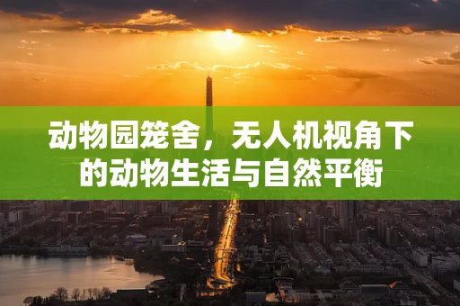 动物园笼舍，无人机视角下的动物生活与自然平衡