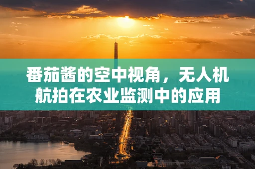 番茄酱的空中视角，无人机航拍在农业监测中的应用