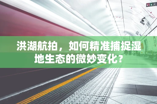 洪湖航拍，如何精准捕捉湿地生态的微妙变化？
