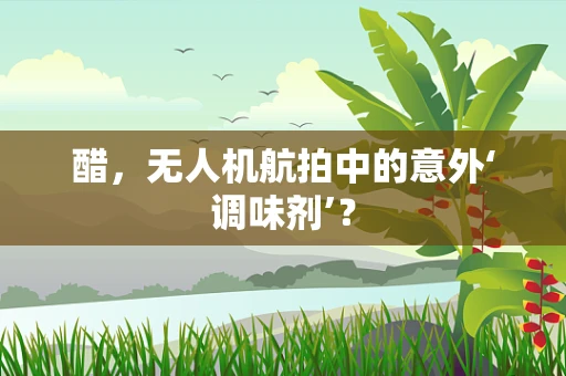醋，无人机航拍中的意外‘调味剂’？