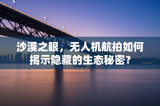 沙漠之眼，无人机航拍如何揭示隐藏的生态秘密？