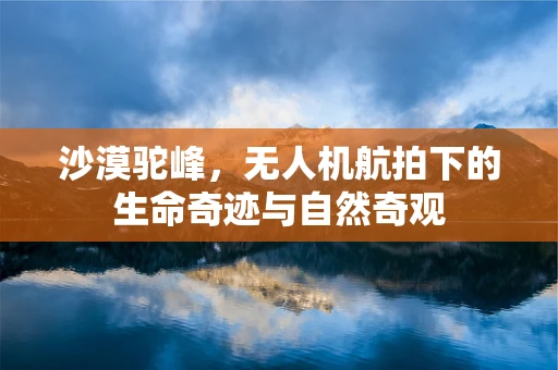 沙漠驼峰，无人机航拍下的生命奇迹与自然奇观