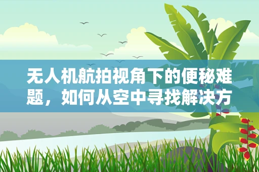 无人机航拍视角下的便秘难题，如何从空中寻找解决方案？