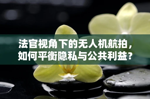 法官视角下的无人机航拍，如何平衡隐私与公共利益？