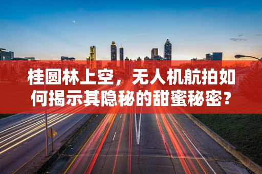 桂圆林上空，无人机航拍如何揭示其隐秘的甜蜜秘密？