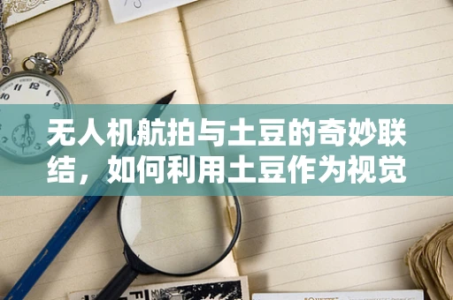 无人机航拍与土豆的奇妙联结，如何利用土豆作为视觉标记？