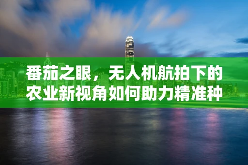 番茄之眼，无人机航拍下的农业新视角如何助力精准种植？
