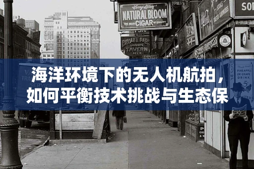 海洋环境下的无人机航拍，如何平衡技术挑战与生态保护？