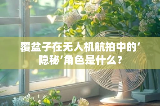 覆盆子在无人机航拍中的‘隐秘’角色是什么？