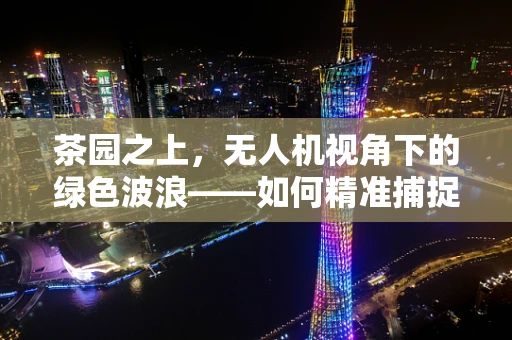 茶园之上，无人机视角下的绿色波浪——如何精准捕捉茶园的生态之美？