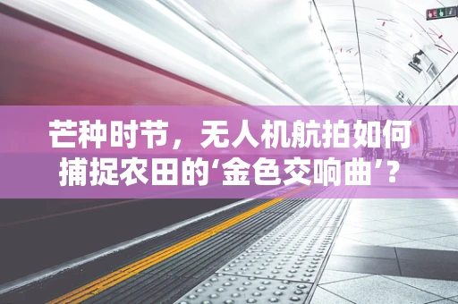 芒种时节，无人机航拍如何捕捉农田的‘金色交响曲’？