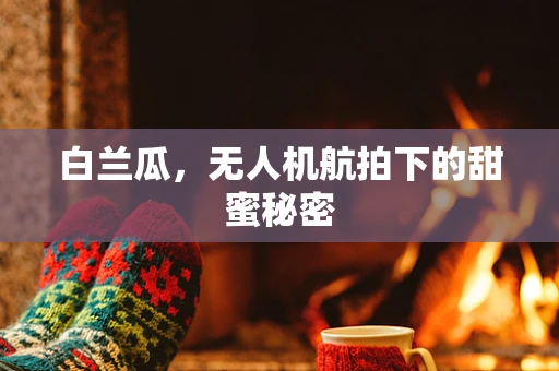 白兰瓜，无人机航拍下的甜蜜秘密