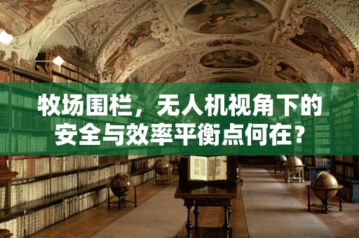 牧场围栏，无人机视角下的安全与效率平衡点何在？