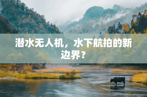 潜水无人机，水下航拍的新边界？
