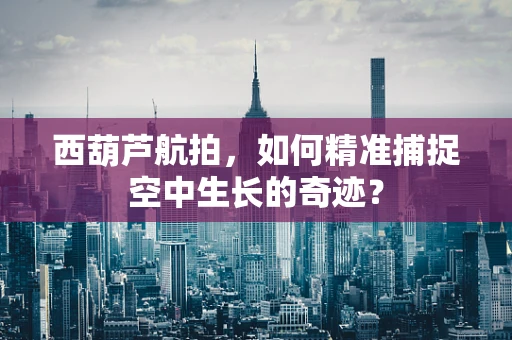 西葫芦航拍，如何精准捕捉空中生长的奇迹？