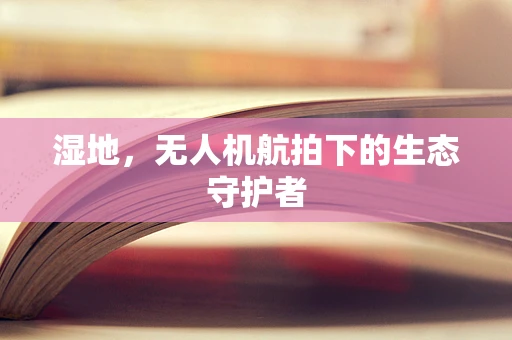 湿地，无人机航拍下的生态守护者