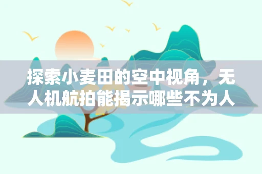 探索小麦田的空中视角，无人机航拍能揭示哪些不为人知的秘密？