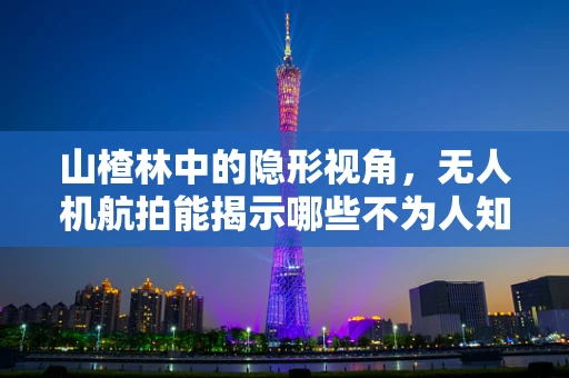 山楂林中的隐形视角，无人机航拍能揭示哪些不为人知的秘密？
