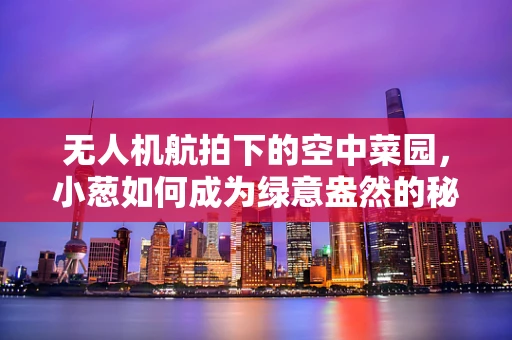 无人机航拍下的空中菜园，小葱如何成为绿意盎然的秘密？