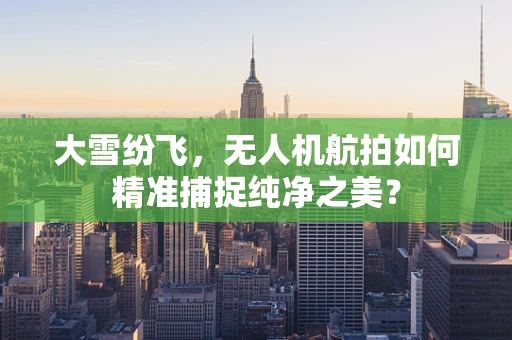 大雪纷飞，无人机航拍如何精准捕捉纯净之美？