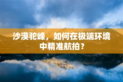 沙漠驼峰，如何在极端环境中精准航拍？