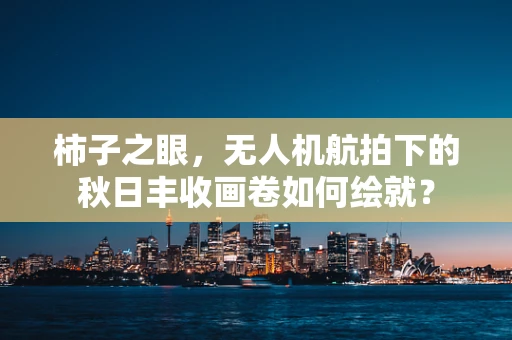 柿子之眼，无人机航拍下的秋日丰收画卷如何绘就？