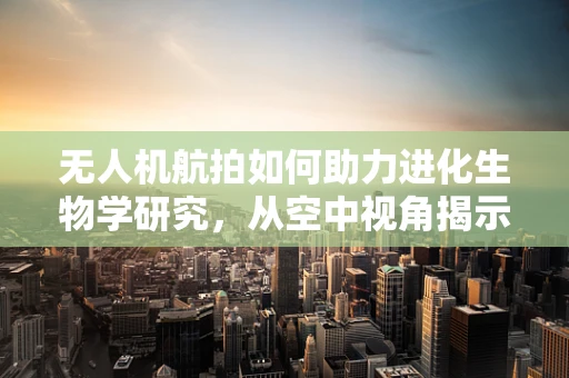 无人机航拍如何助力进化生物学研究，从空中视角揭示物种的进化轨迹？