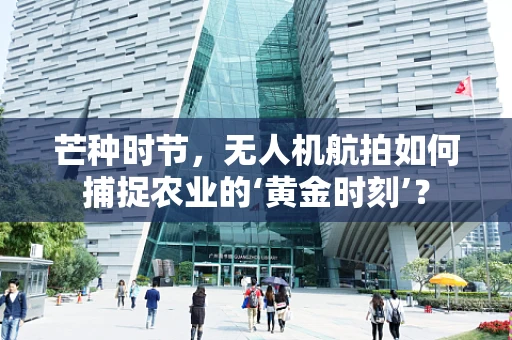 芒种时节，无人机航拍如何捕捉农业的‘黄金时刻’？