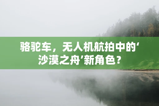骆驼车，无人机航拍中的‘沙漠之舟’新角色？