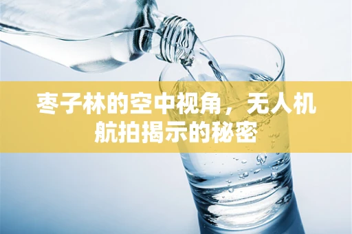 枣子林的空中视角，无人机航拍揭示的秘密