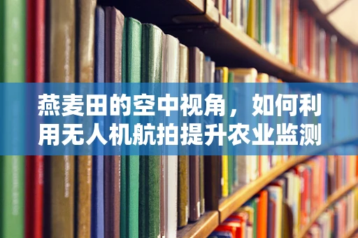 燕麦田的空中视角，如何利用无人机航拍提升农业监测效率？