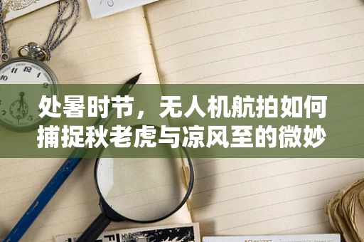处暑时节，无人机航拍如何捕捉秋老虎与凉风至的微妙平衡？