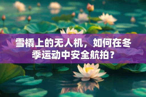 雪橇上的无人机，如何在冬季运动中安全航拍？