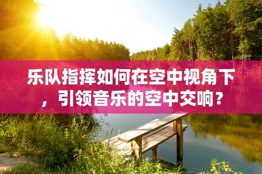 乐队指挥如何在空中视角下，引领音乐的空中交响？