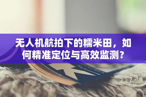 无人机航拍下的糯米田，如何精准定位与高效监测？