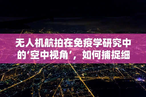 无人机航拍在免疫学研究中的‘空中视角’，如何捕捉细胞免疫的微妙变化？