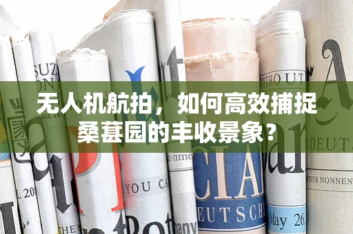 无人机航拍，如何高效捕捉桑葚园的丰收景象？