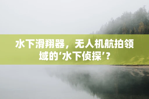 水下滑翔器，无人机航拍领域的‘水下侦探’？