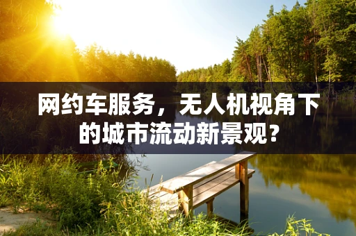 网约车服务，无人机视角下的城市流动新景观？